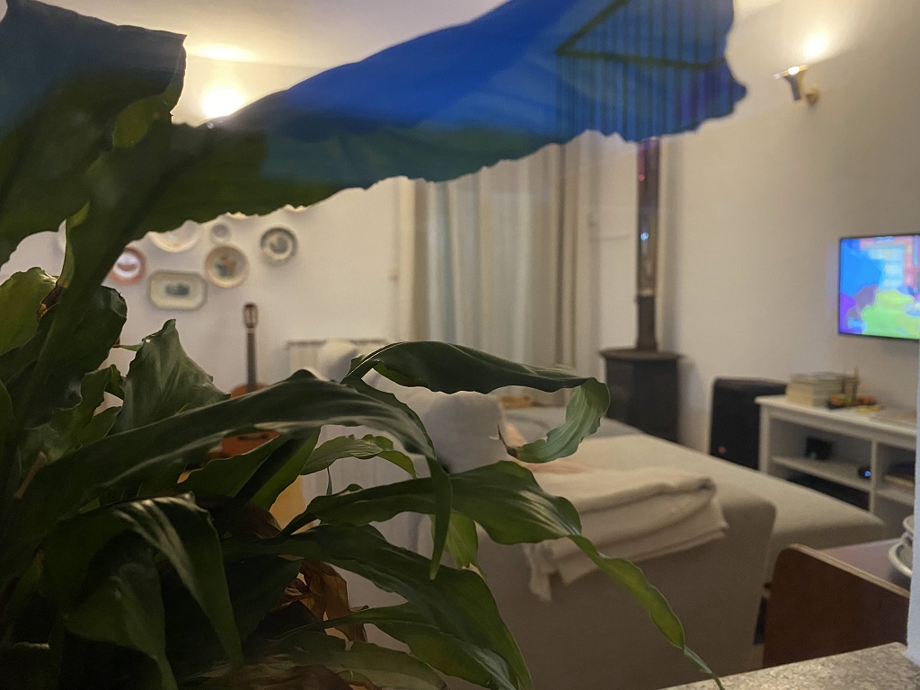 sala-casa-das-hortas paredes de coura-1